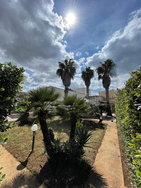 Spring, Day, Garden, Garden, Garden view