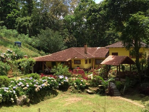 Spring, Natural landscape, Garden