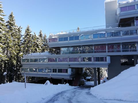Property building, Day, Winter, View (from property/room), On site