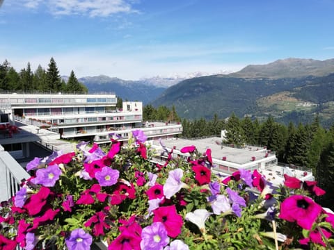 Property building, Day, Summer, On site, Mountain view