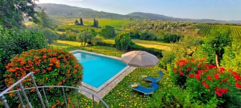Natural landscape, Swimming pool, Sunrise