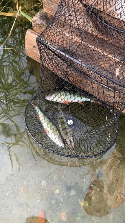 ALEKSANDRA House in Pomeranian Voivodeship