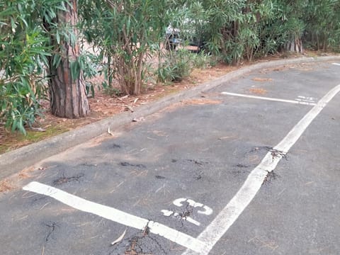 Olivo House 1 Apartment in Porto Venere