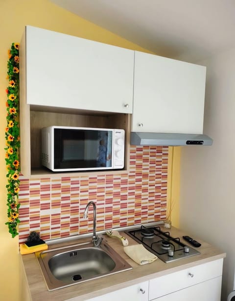 Kitchen or kitchenette, microwave, minibar, stove, kitchen