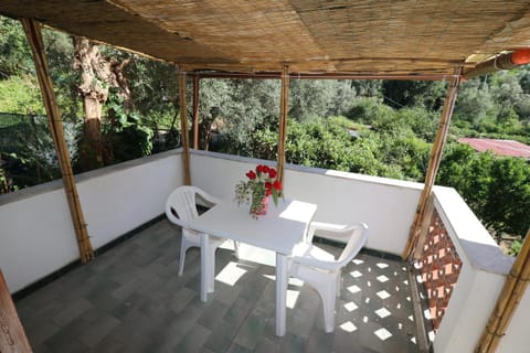 Patio, Spring, Day, View (from property/room), Balcony/Terrace, Dining area, Garden view