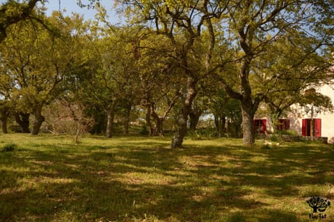 Property building, Spring, Day, Natural landscape, Garden, On site, Garden view