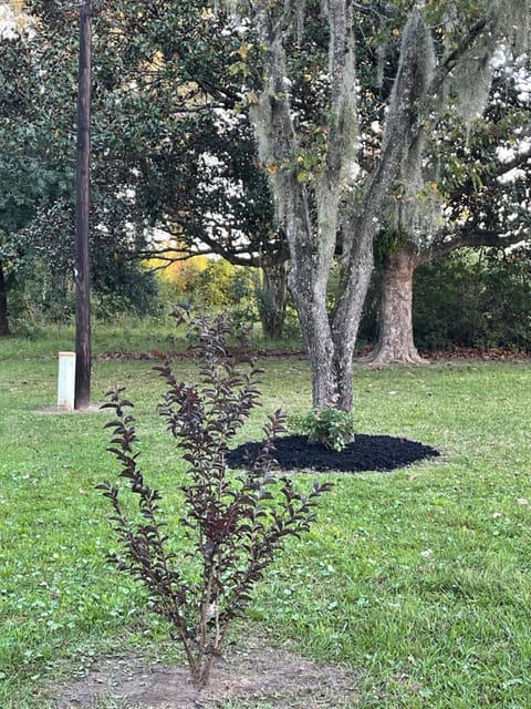 The QueenEsta House in South Carolina