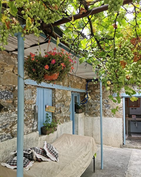 Patio, Spring, Day, Garden, Garden view