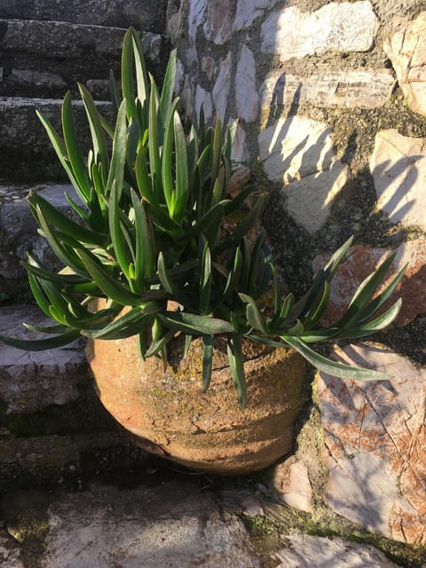KYTHIRA ISLAND RETREAT House in Islands