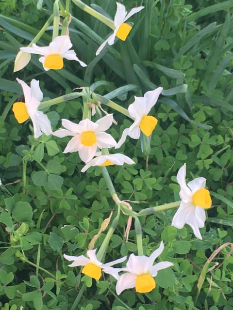 KYTHIRA ISLAND RETREAT House in Islands