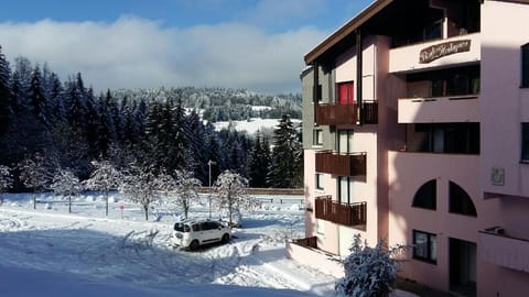 Property building, Winter