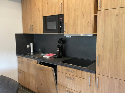 Haus am Sonnenberg,Todtnauberg, Ferienwohnung 305, direkt am Skilift-Skipiste, Nähe Feldberg Apartment in Baden-Württemberg