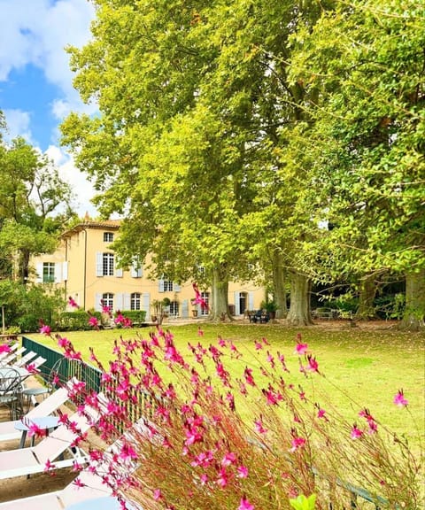 Garden, Garden, Swimming pool, Swimming pool
