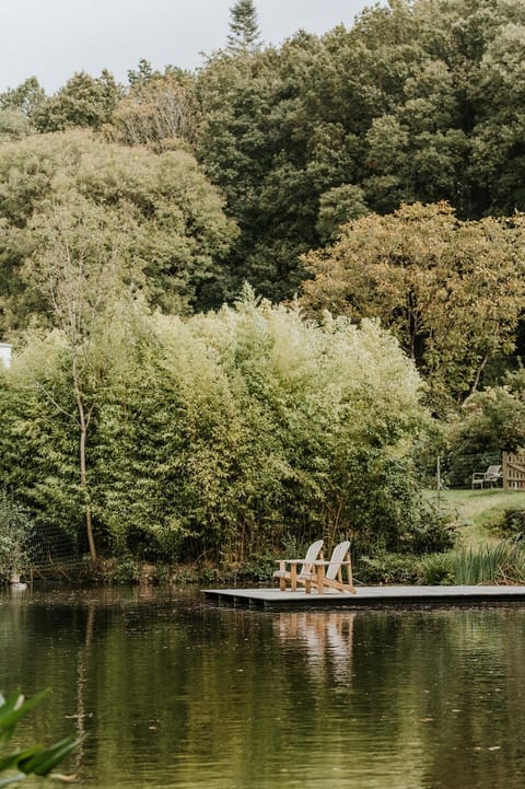 Natural landscape, Garden, River view