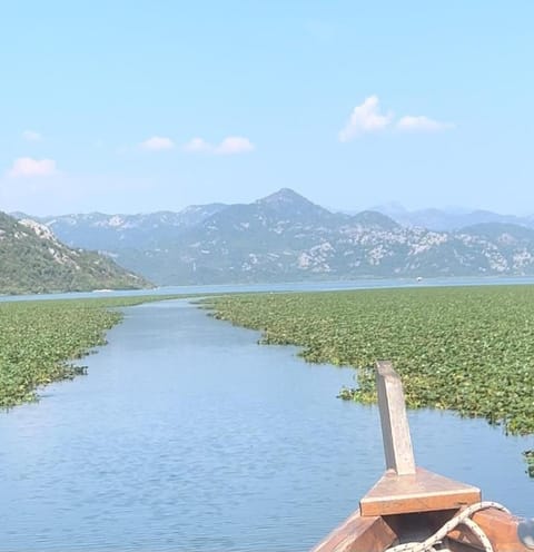 Apartments Stella Apartment in Podgorica Municipality, Montenegro