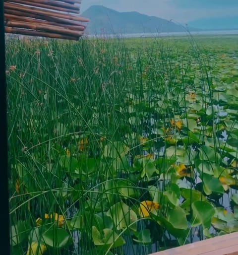 Apartments Stella Apartment in Podgorica Municipality, Montenegro