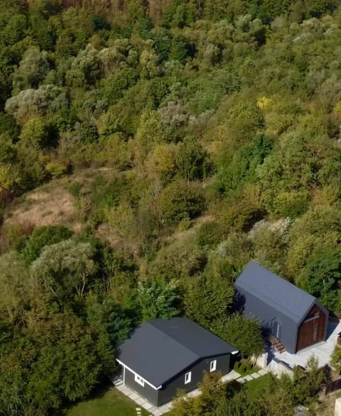 Natural landscape, Bird's eye view