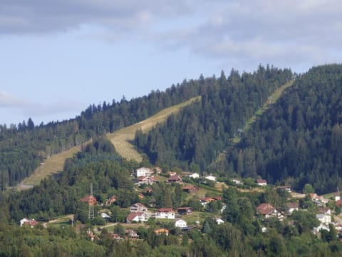 les charmes du lac Sauna et Spa Chalet in Gérardmer