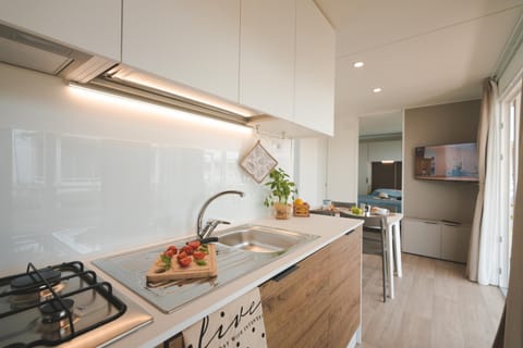 Kitchen or kitchenette, dishwasher, stove