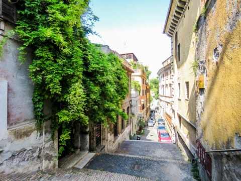 City view, Street view