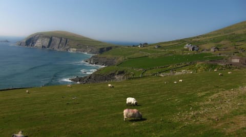 Day, Natural landscape