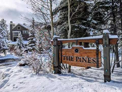 Pines 2045 by SummitCove Lodging House in Keystone