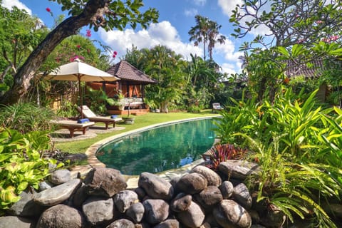 Day, Garden, Garden view, Pool view, Swimming pool, sunbed