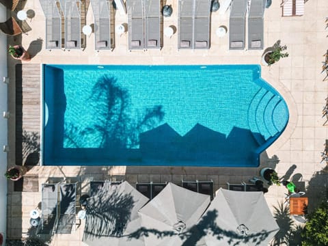 Day, Pool view, Swimming pool, sunbed