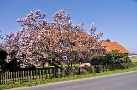 Landhaus - Hof Pakirnis Apartment in Mecklenburg-Vorpommern, Germany