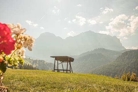 BBQ facilities, Mountain view
