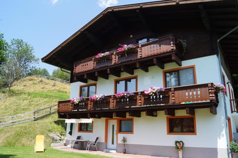 Property building, Day