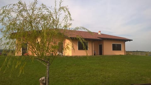 Property building, Spring, Day, Garden, On site