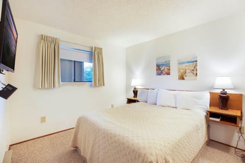 Triton Condo Apartment in Moclips