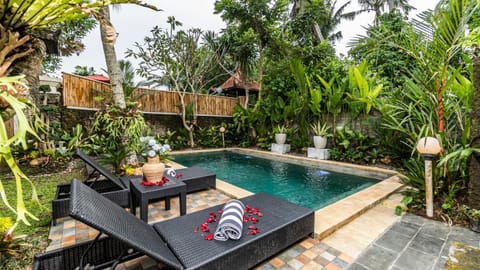 Natural landscape, Garden, Garden view, Pool view, Swimming pool, sunbed