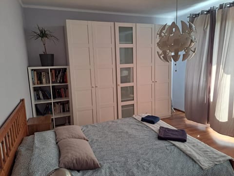 Library, Bedroom, wardrobe