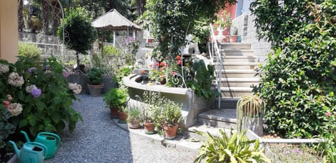 Property building, Garden, Garden view
