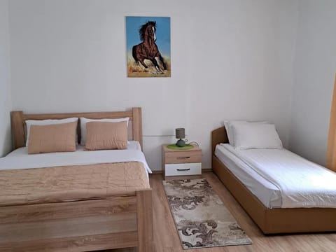 Apartman O&K Apartment in Montenegro