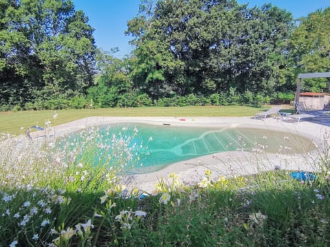 Property building, Day, Pool view, Swimming pool