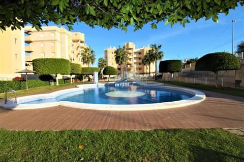 Garden, Swimming pool
