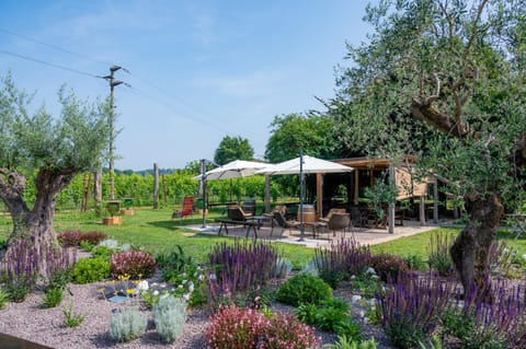 Agriturismo Roccat Bed and Breakfast in Valdobbiadene