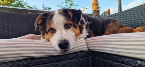 Haus Steffi Vacation rental in Baden-Württemberg