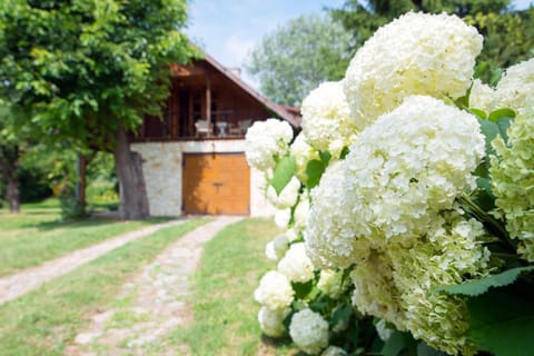 Property building, Facade/entrance, Garden