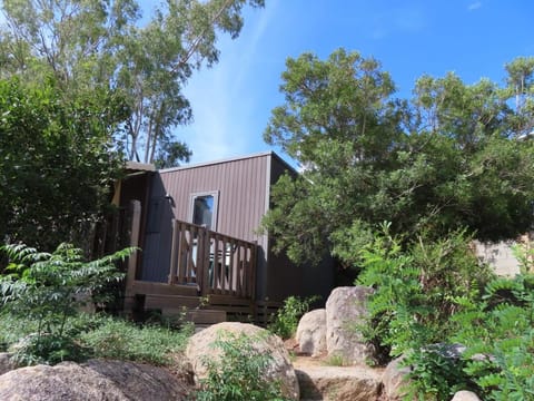 Natural landscape, Garden, Garden view