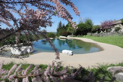 Day, Garden, Garden view, Pool view, Swimming pool