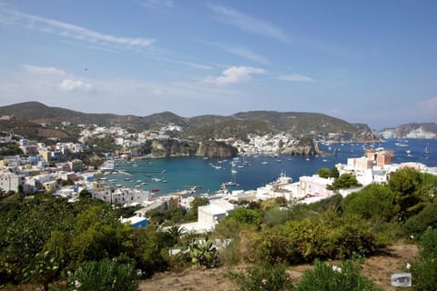 Natural landscape