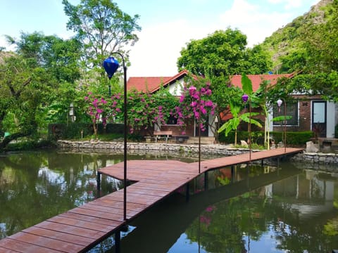 Natural landscape