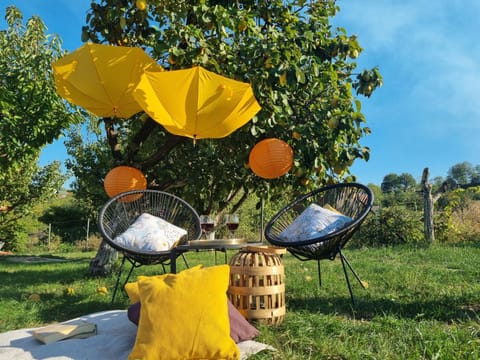 Vila Stancevic wellness House in Vojvodina