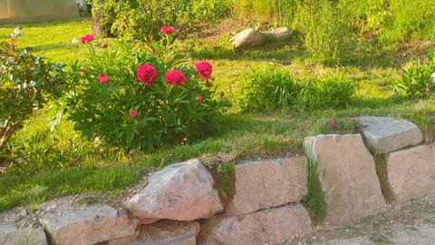 Mini Maule Apartment in Trentino-South Tyrol