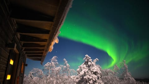 Natural landscape, Winter