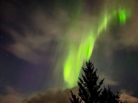 Night, Natural landscape